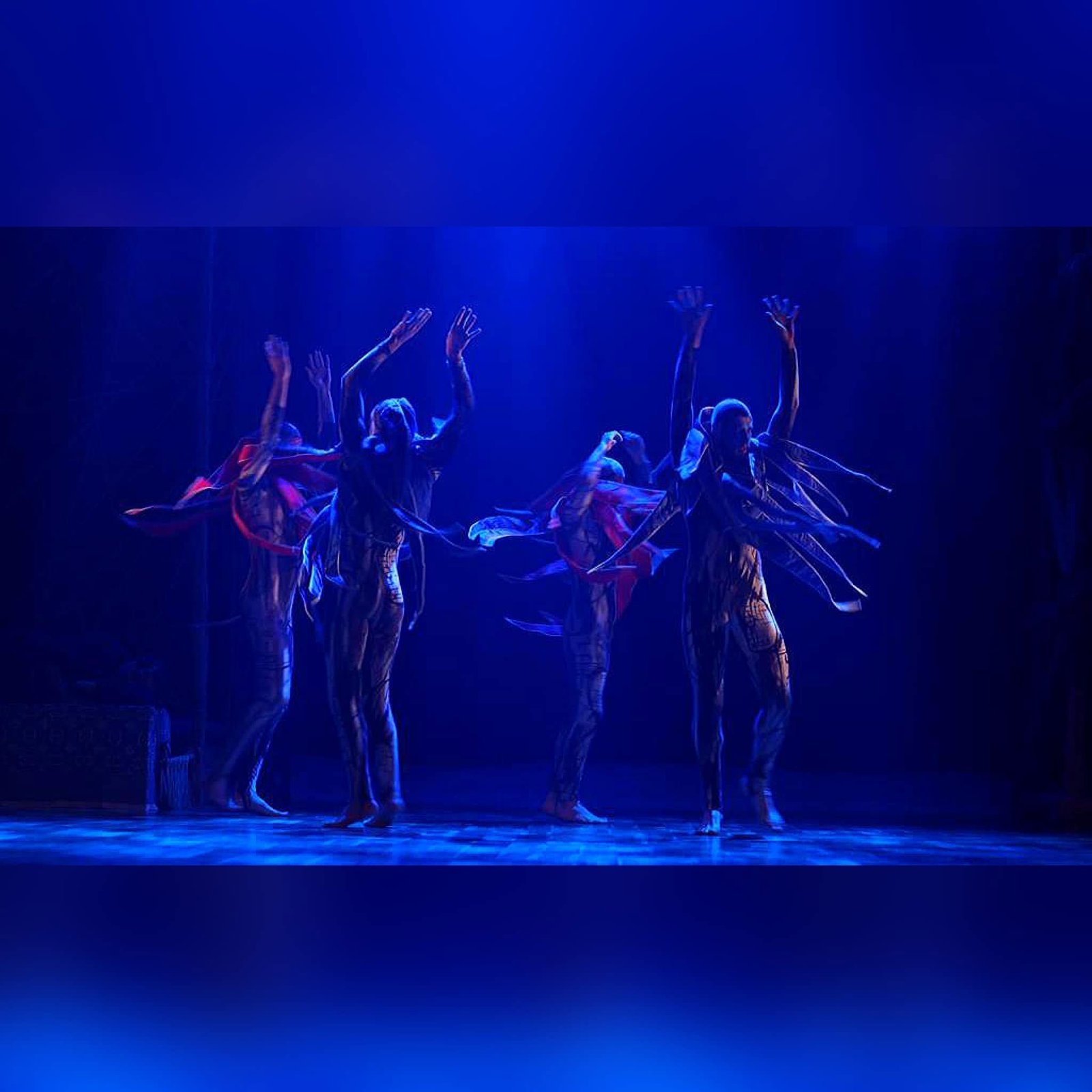 Performers in dramatic silhouette