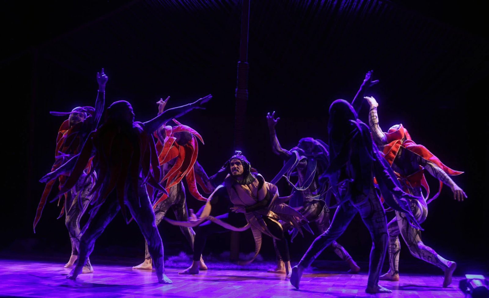 The Sailors — Choreographer & Lead Performer